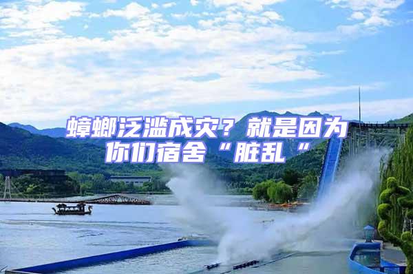 蟑螂泛濫成災？就是因為你們宿舍“臟亂“