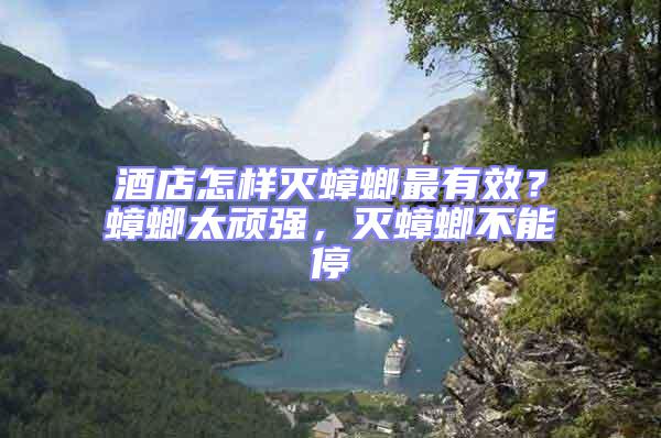 酒店怎樣滅蟑螂最有效？蟑螂太頑強，滅蟑螂不能停