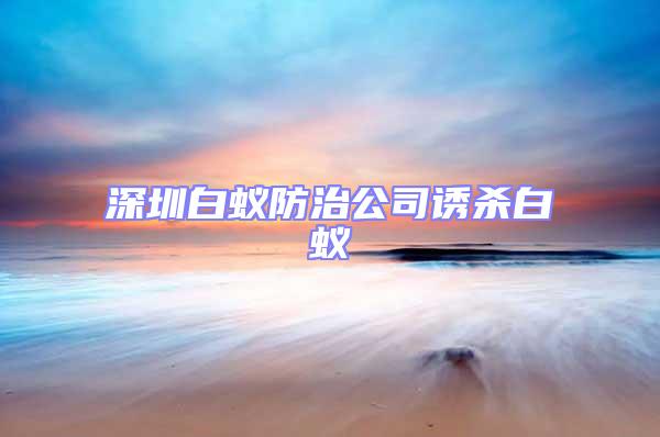 深圳白蟻防治公司誘殺白蟻