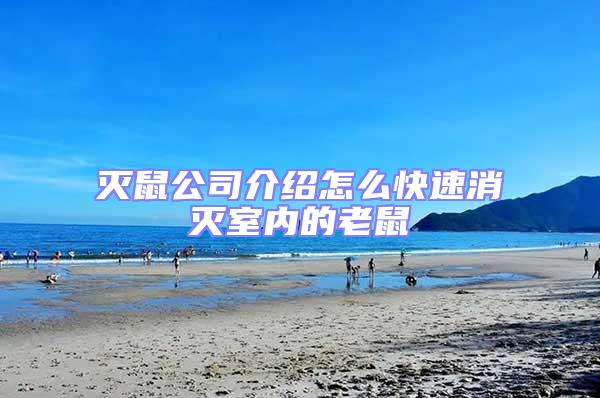 滅鼠公司介紹怎么快速消滅室內的老鼠