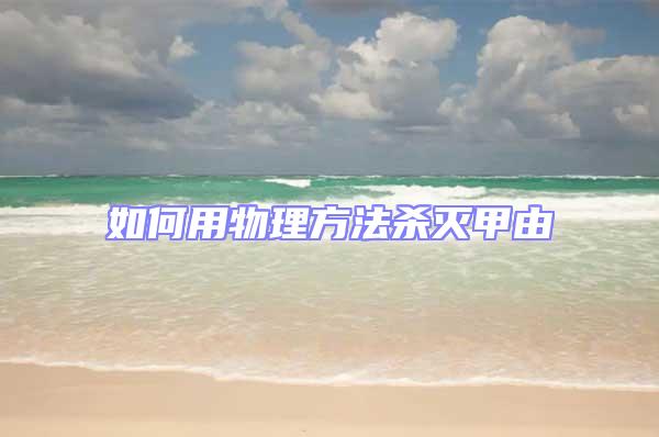 如何用物理方法殺滅甲由
