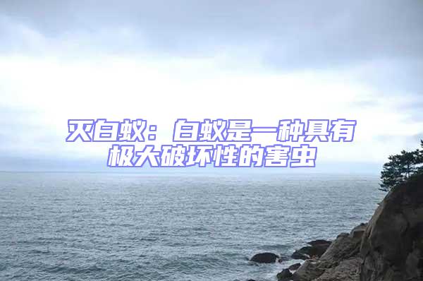 滅白蟻：白蟻是一種具有極大破壞性的害蟲