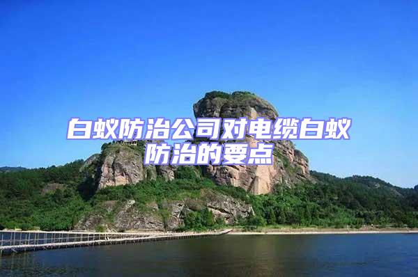 白蟻防治公司對電纜白蟻防治的要點