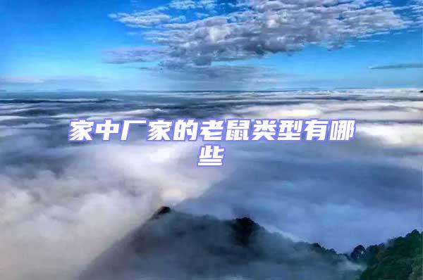 家中廠家的老鼠類型有哪些