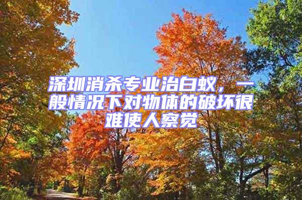 深圳消殺專業治白蟻，一般情況下對物體的破壞很難使人察覺