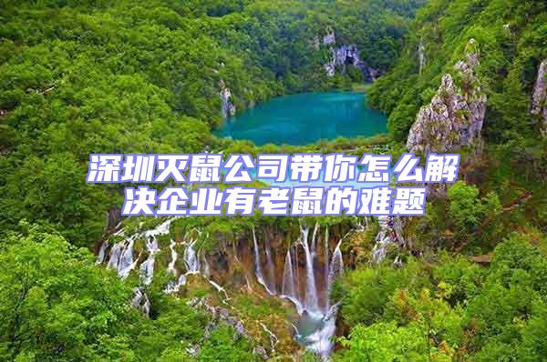 深圳滅鼠公司帶你怎么解決企業有老鼠的難題