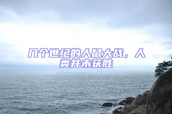 幾個世紀的人鼠大戰，人類并未獲勝