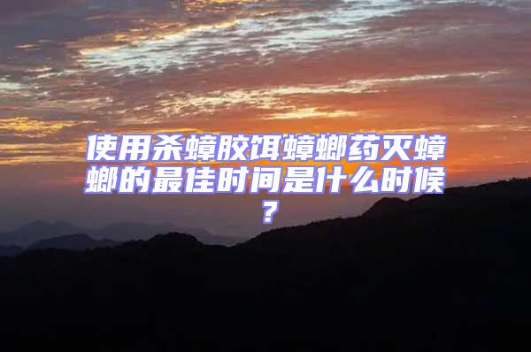 使用殺蟑膠餌蟑螂藥滅蟑螂的最佳時間是什么時候？