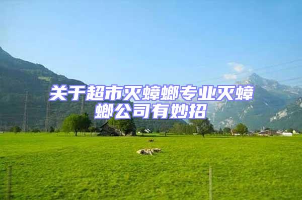 關于超市滅蟑螂專業滅蟑螂公司有妙招