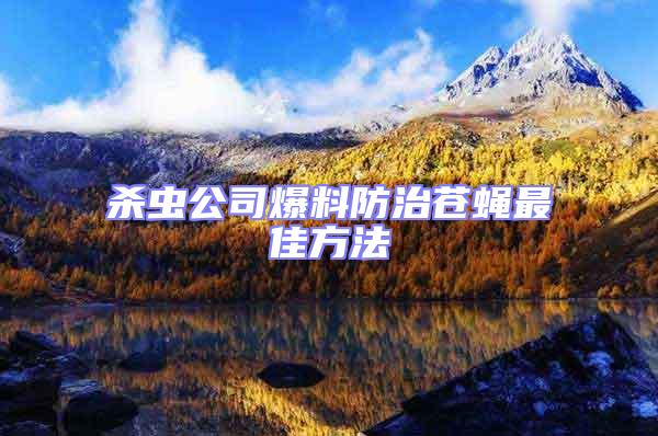 殺蟲公司爆料防治蒼蠅最佳方法