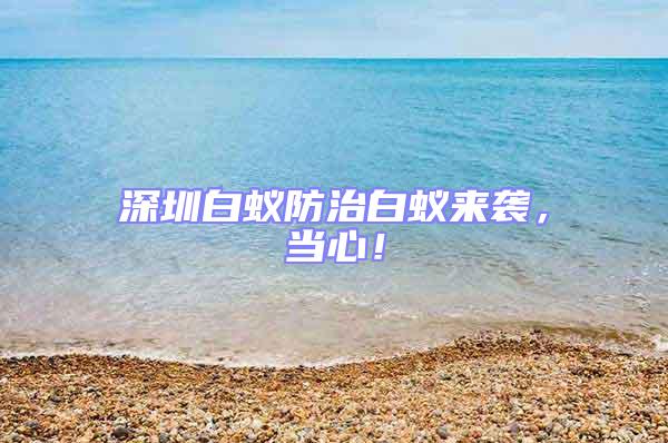 深圳白蟻防治白蟻來襲，當心！