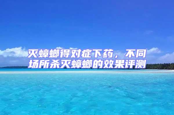 滅蟑螂得對癥下藥，不同場所殺滅蟑螂的效果評測