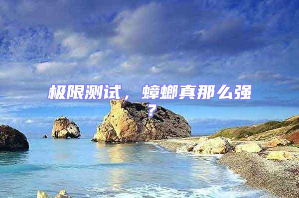 極限測試，蟑螂真那么強？
