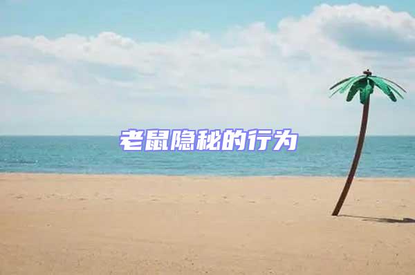 老鼠隱秘的行為
