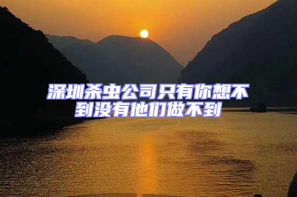 深圳殺蟲公司只有你想不到沒有他們做不到