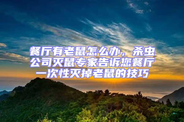 餐廳有老鼠怎么辦，殺蟲公司滅鼠專家告訴您餐廳一次性滅掉老鼠的技巧