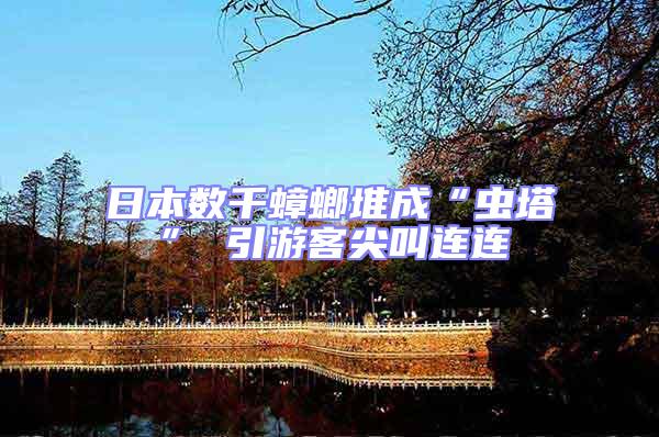 日本數(shù)千蟑螂堆成“蟲塔” 引游客尖叫連連