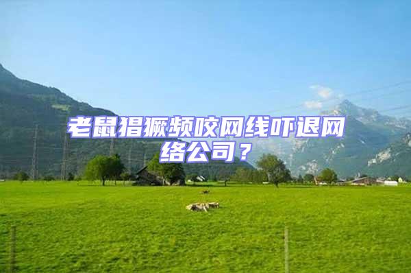 老鼠猖獗頻咬網(wǎng)線嚇退網(wǎng)絡(luò)公司？