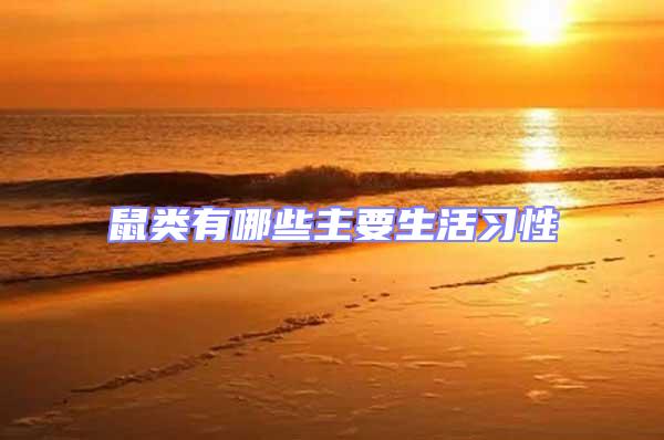 鼠類有哪些主要生活習性