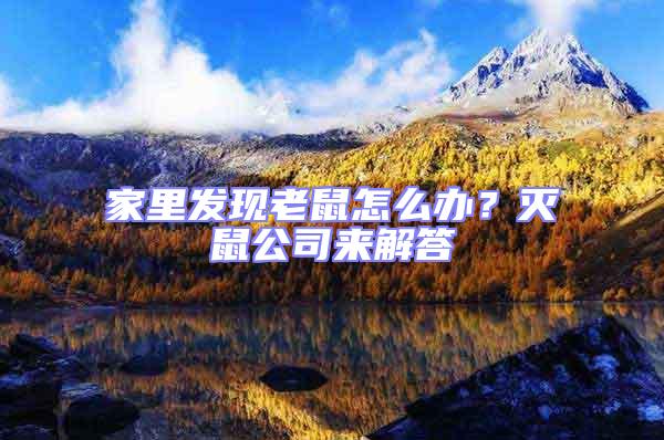 家里發現老鼠怎么辦？滅鼠公司來解答