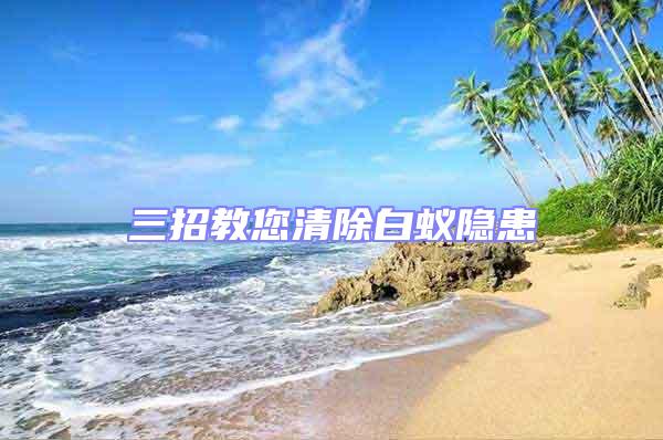 三招教您清除白蟻隱患
