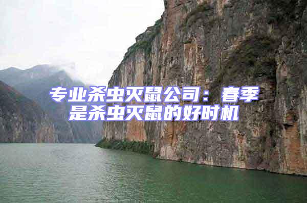 專業(yè)殺蟲滅鼠公司：春季是殺蟲滅鼠的好時(shí)機(jī)