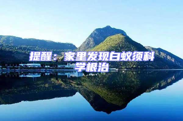 提醒：家里發現白蟻須科學根治
