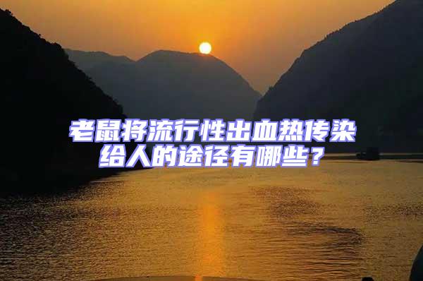 老鼠將流行性出血熱傳染給人的途徑有哪些？