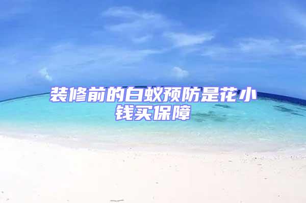 裝修前的白蟻預防是花小錢買保障