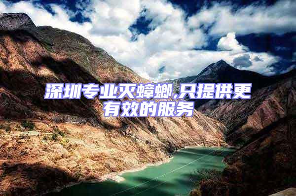 深圳專業滅蟑螂,只提供更有效的服務