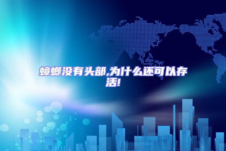 蟑螂沒有頭部,為什么還可以存活!