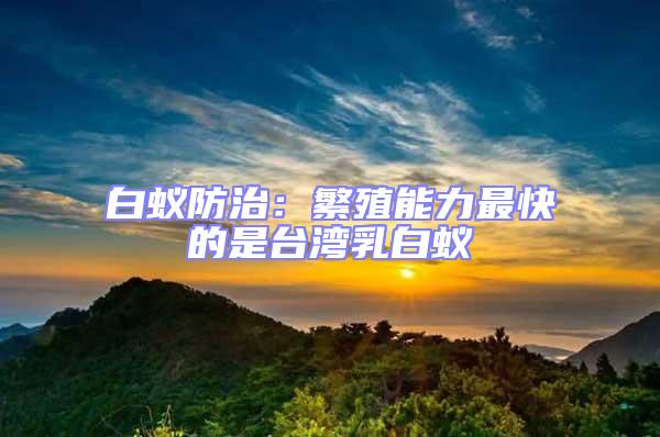 白蟻防治：繁殖能力最快的是臺灣乳白蟻