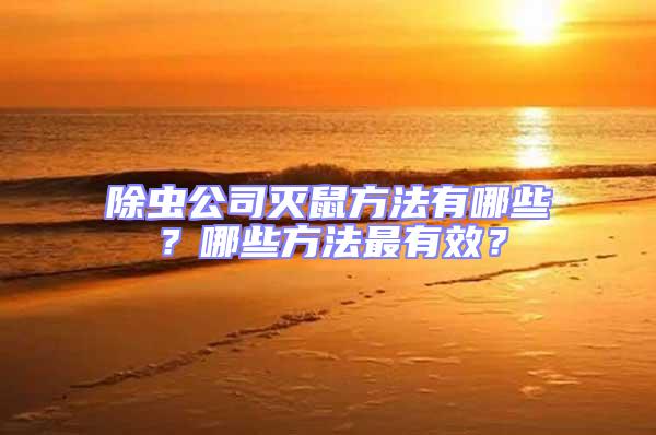 除蟲公司滅鼠方法有哪些？哪些方法最有效？