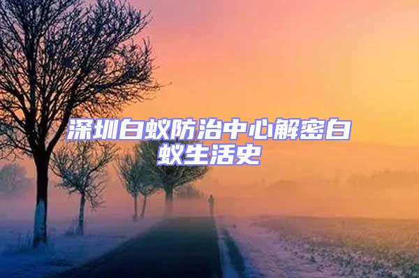 深圳白蟻防治中心解密白蟻生活史