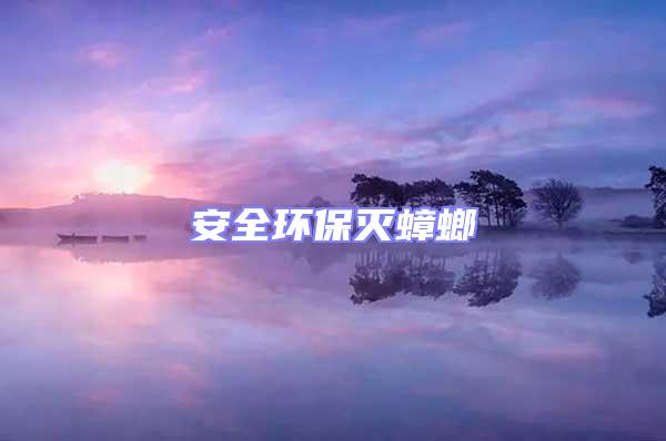 安全環保滅蟑螂