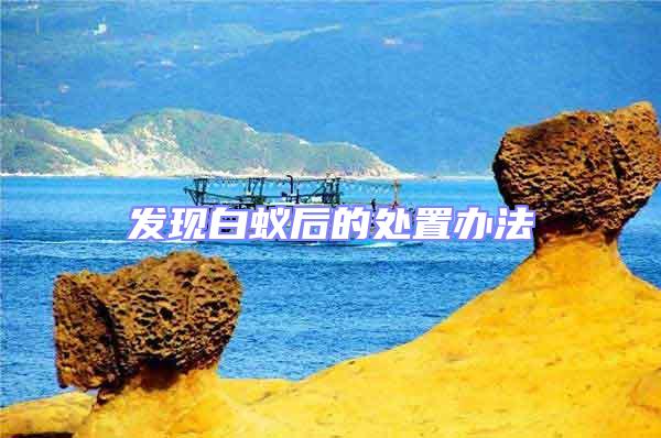 發現白蟻后的處置辦法
