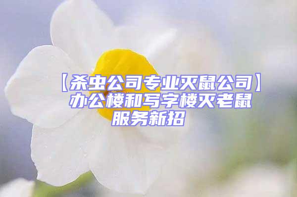 【殺蟲公司專業滅鼠公司】  辦公樓和寫字樓滅老鼠服務新招