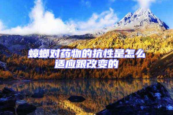 蟑螂對藥物的抗性是怎么適應跟改變的