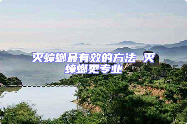 滅蟑螂最有效的方法 滅蟑螂更專業
