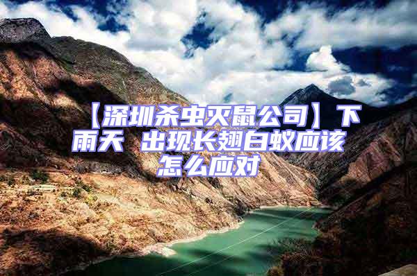 【深圳殺蟲滅鼠公司】下雨天 出現長翅白蟻應該怎么應對