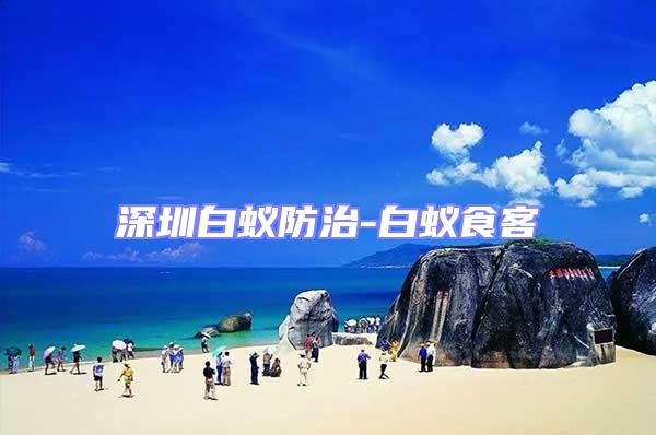 深圳白蟻防治-白蟻食客