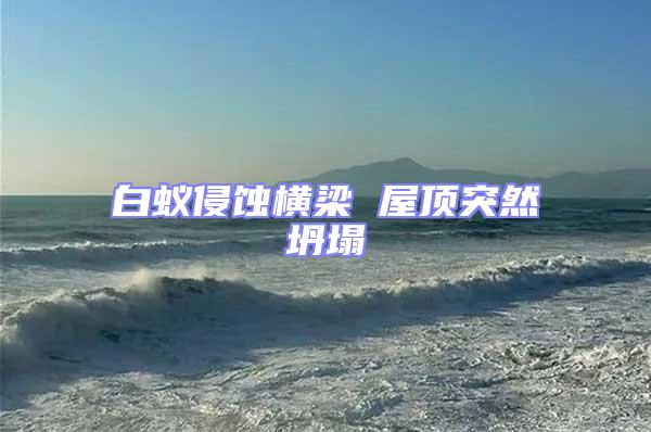 白蟻侵蝕橫梁 屋頂突然坍塌