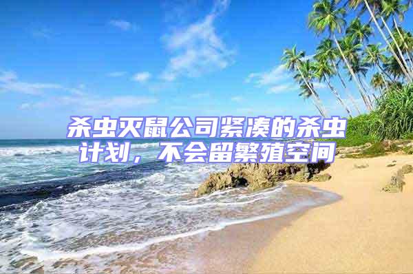 殺蟲滅鼠公司緊湊的殺蟲計劃，不會留繁殖空間