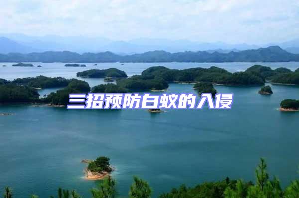 三招預防白蟻的入侵