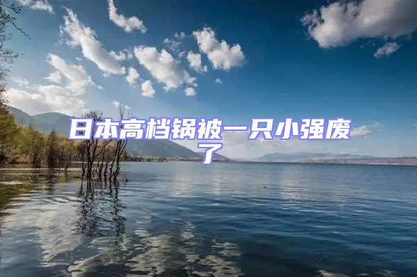 日本高檔鍋被一只小強廢了