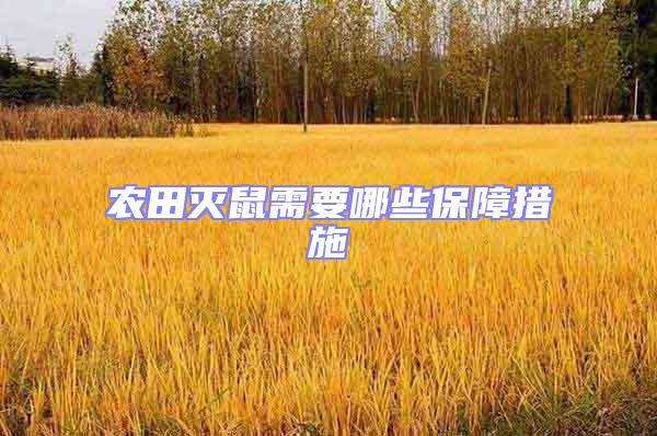 農田滅鼠需要哪些保障措施