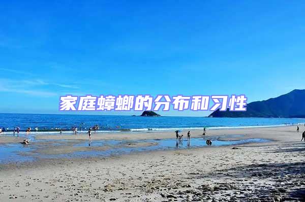 家庭蟑螂的分布和習性