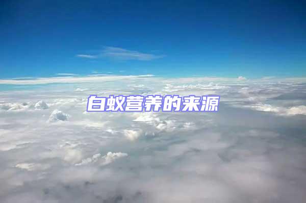 白蟻營(yíng)養(yǎng)的來(lái)源