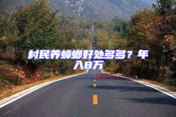 村民養蟑螂好處多多？年入8萬
