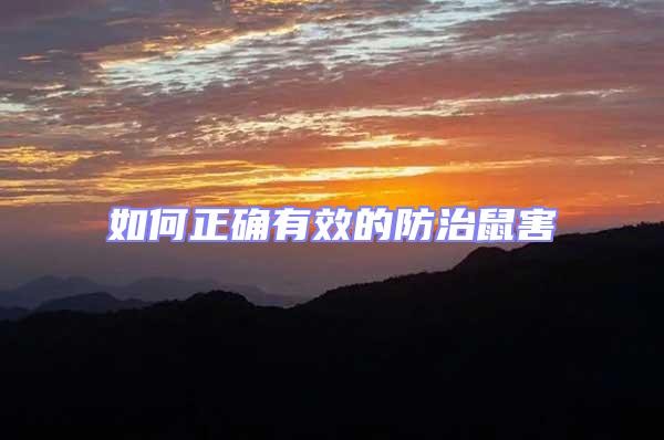 如何正確有效的防治鼠害